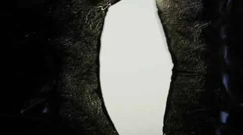 Plastic completely burns down. Macro. Stock Footage 11763138