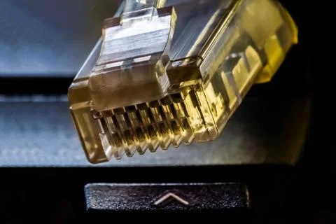 Plastic connector for connection to a computer network, macro background Foto stock