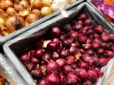 A plastic container filled with fresh fruit and vegetables 스톡 사진