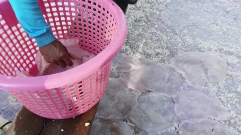 A plastic container with food in it 库存影片 156845475