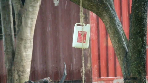 Plastic container hanging from tree in rain Stock Footage 749526