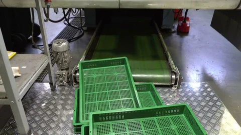 Plastic container on manufacturing line Stock Footage 76898681