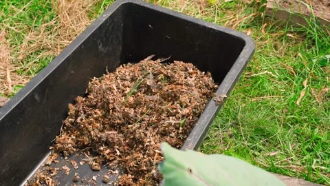 Plastic container with organic bird droppings and sawdust fertilizer Stock Footage 251538010