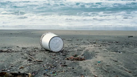 Plastic container waste and tar pollution on stormy sea coast,environmental Stock Footage 145989774