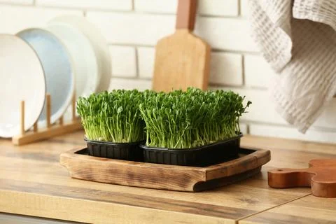 Plastic containers with fresh micro green on wooden table in kitchen, closeup Stock Photos