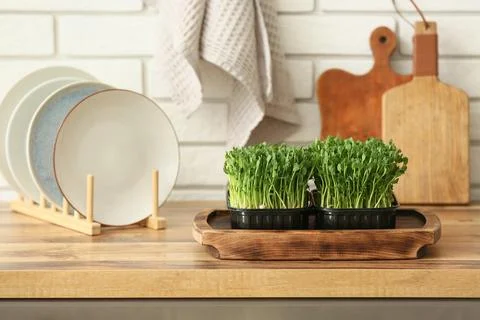 Plastic containers with fresh micro green on wooden table in kitchen, closeup Stock Photos
