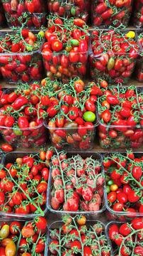 Plastic containers holding cherry tomatoes. Vertical photo Stock Photos