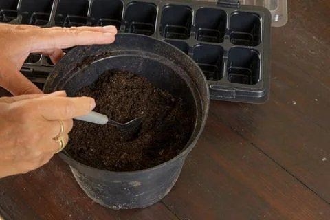 Plastic containers for molde seedlings plants, transplanting plants, plasti.. Stock Photos