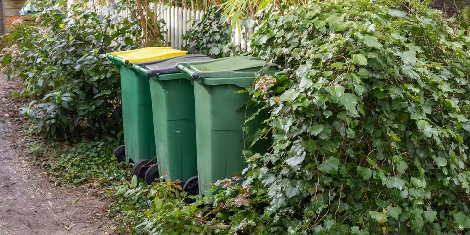 Plastic containers for separate waste collection on the street. Bins for garb 写真素材