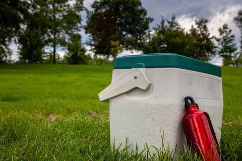 Plastic cooler box and a red water bottle on a green field in a public park Stock Photos