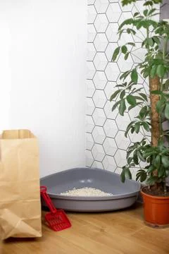 Plastic corner cat tray with light filler granules, standing on the floor Stock Photos