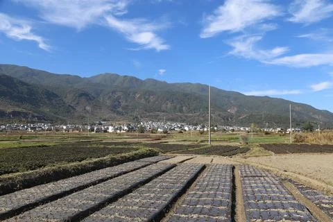 Plastic-covered crop rows leading toward a mountain village Stock Photos