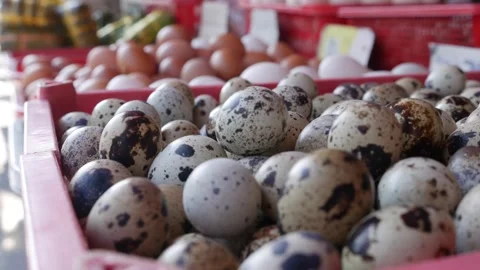 Plastic crate filled with quail eggs displayed for sale at a market stall, the Stock Footage 312213932