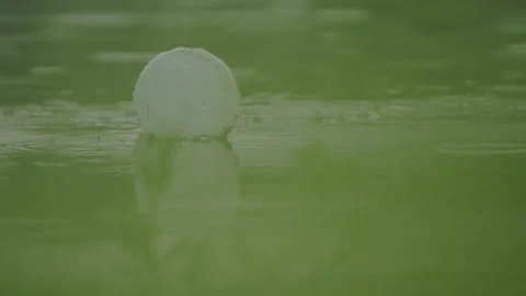 Plastic cup afloat on the water surface Stock-Footage 254191925