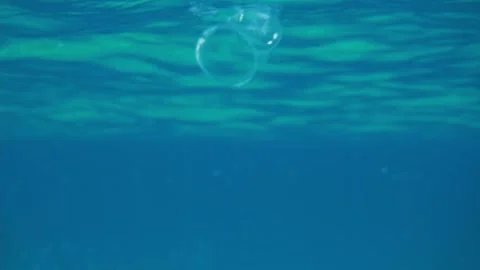Plastic cup in blue water, ocean plastic pollution, underwater video. disposable Stock Footage 169340928