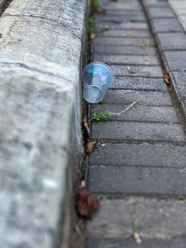 A plastic cup is currently lying on the sidewalk, right next to a curb Foto stock