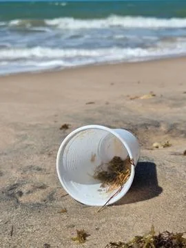 Plastic cup discarded on the beach Stock Photos