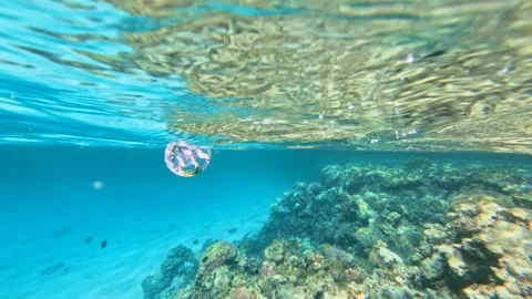 Plastic cup floating above coral reef in clear blue sea highlighting ocean Stock Footage 340598757