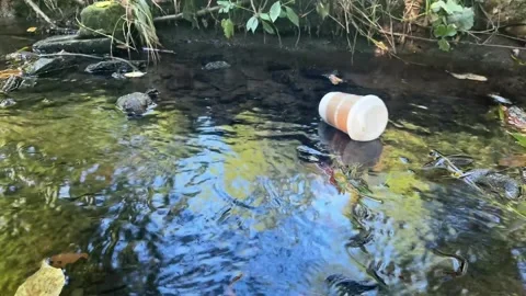 Plastic cup floating in forest stream Stock Footage 329319914