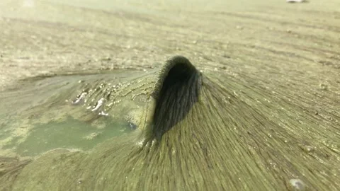 Plastic Cup Floating Through Dense Algae Bloom on Polluted River Stock Footage 340513770