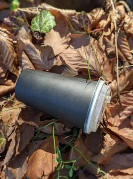 Plastic cup in the forest. Trash. Top view Stock Photos