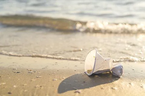 A plastic cup lying on the beach by the ocean Stock Photos