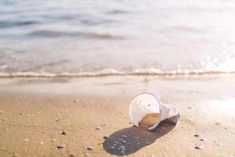 A plastic cup lying on the beach by the ocean Stock Photos