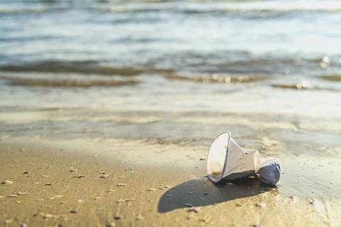 A plastic cup lying on the beach by the ocean Foto stock