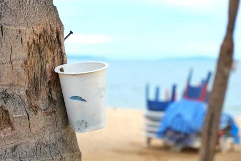 Plastic cup nailed on the tree Stock Photos