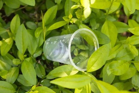 Plastic cup on the nature Stock Photos
