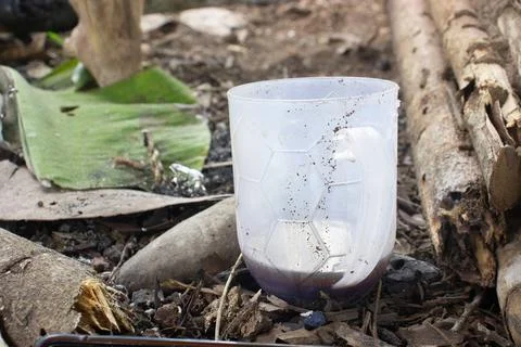 A plastic cup that is placed on the ground Stock Photos