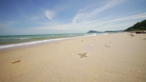 Plastic Cup Polluting A Beautiful Beach. Plastic Cup Drifting With Ocean Waves Stock Footage 328336929