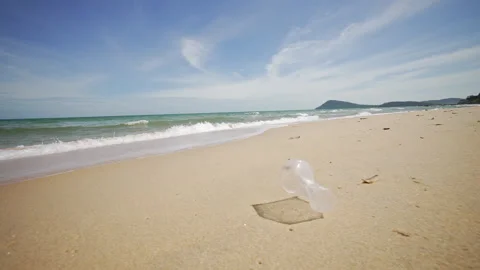 Plastic Cup Rolls Across Sandy Beach. Discarded Plastic Cup Drifting Video stock 311369398