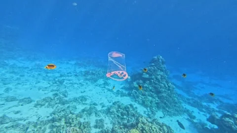 Plastic cup suspended in blue sea water with tropical fish in the background Stock Footage 340598765