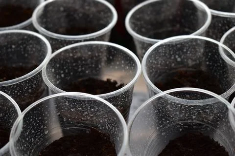 Plastic cups Stock Photos