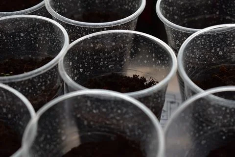 Plastic cups Stock Photos