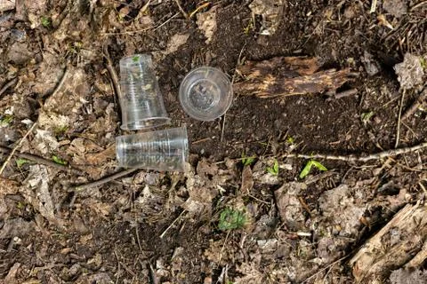 Plastic cups scattered on the ground in the forest Stock Photos