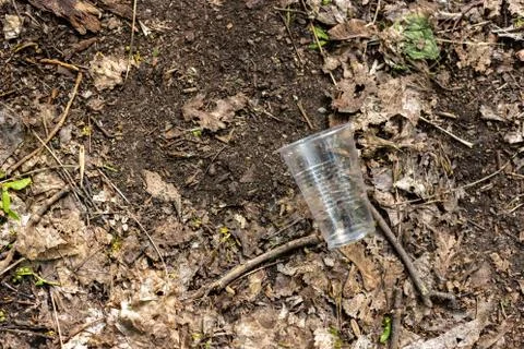 Plastic cups scattered on the ground in the forest Stock Photos