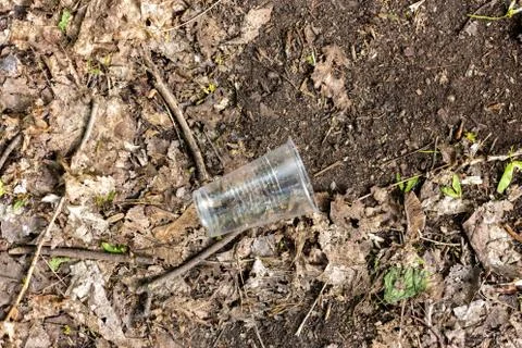 Plastic cups scattered on the ground in the forest Stock Photos