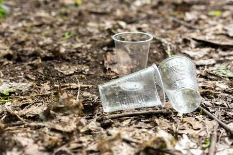 Plastic cups scattered on the ground in the forest Stock Photos