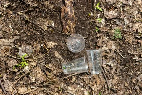 Plastic cups scattered on the ground in the forest Foto stock