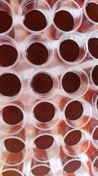 Plastic cups of tea in a row, close-up Stock Photos