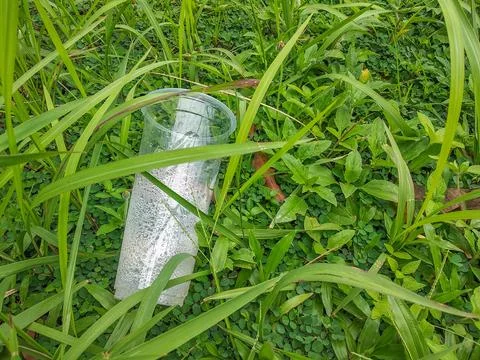 Plastic cups thrown away carelessly pollute the environment Foto stock