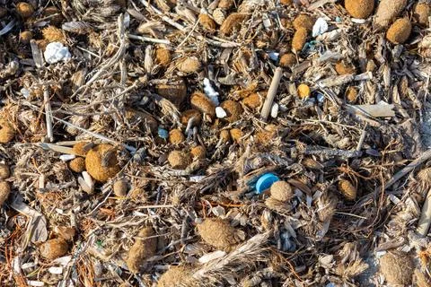 Plastic debris and microplastics mixed with organic matter lie on sand. Bro.. 스톡 사진