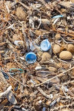 Plastic debris and microplastics mixed with organic matter lie on sand. Bro.. 스톡 사진