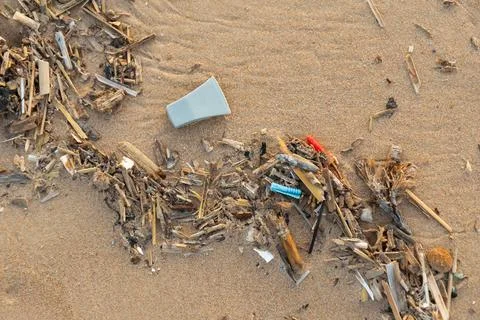 Plastic debris and microplastics mixed with organic matter lie on sand. Bro.. 스톡 사진