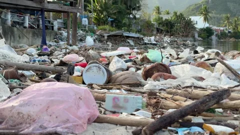 Plastic debris and organic waste scatter across a riverside beach, framed by Stock Footage 327074053