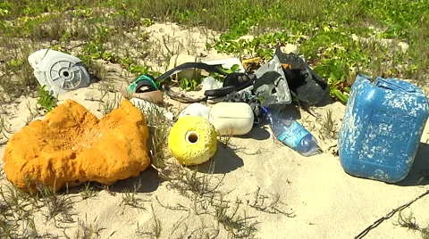 Plastic Debris in a beach in Hawaii Stock Footage 41380772