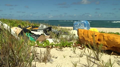 Plastic Debris on a beach in Hawaii Stock Footage 41380774