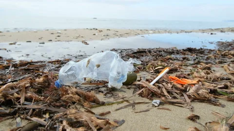 Plastic debris dump pollution on sea coast ecosystem after a storm,nature waste Stock Footage 230152873
